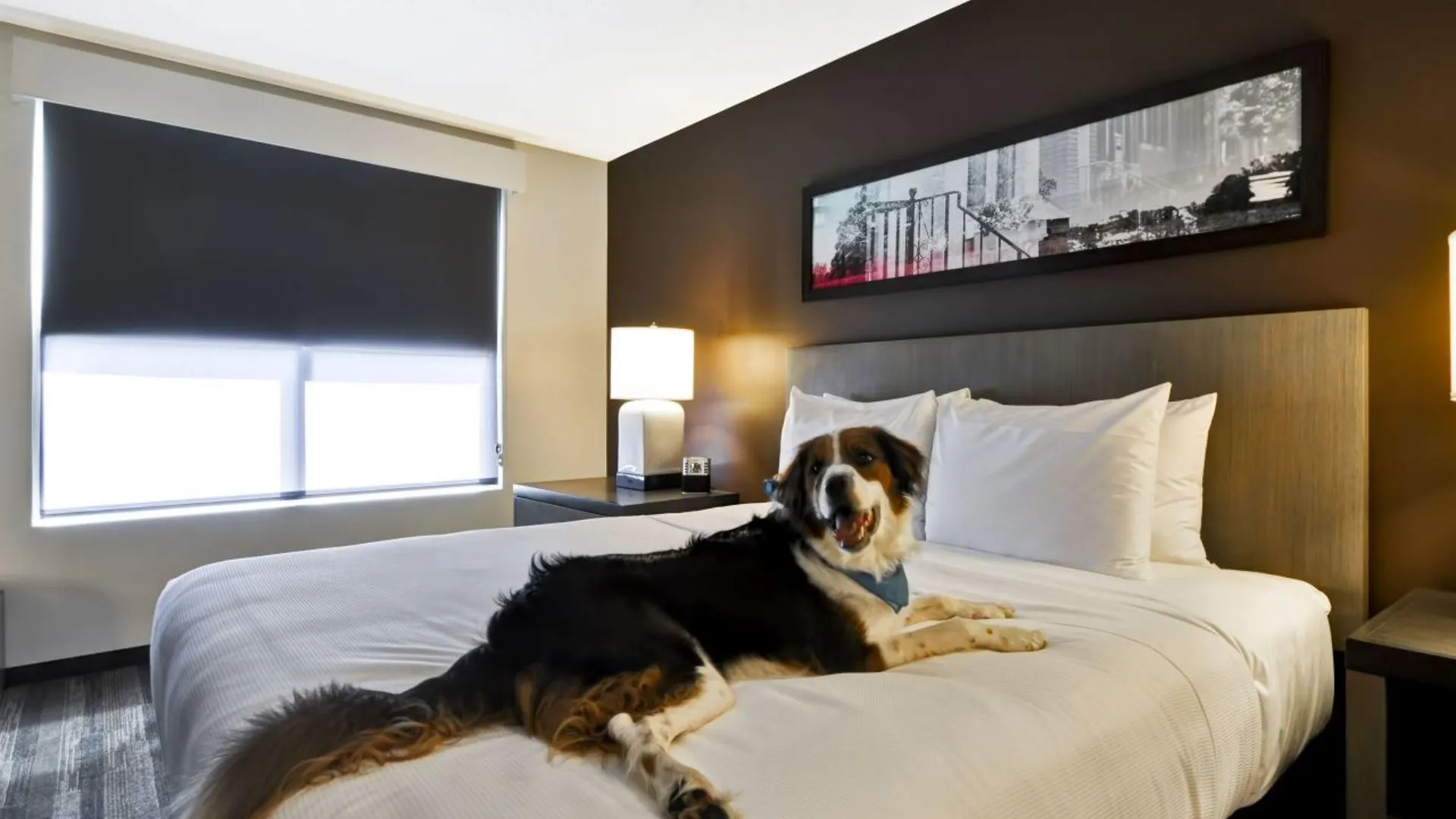 *** Ξενοδοχείο Hyatt Place Ocean City Oceanfront Ηνωμένες Πολιτείες της Αμερικής